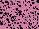 Brushed DTY Animal Print Knit Fabric Soft Stretch Material 58/60" Width