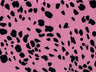 1 Yard Brushed DTY Animal Print Knit Fabric 170 GSM, 58/60? Wide Polyester Spandex Blend