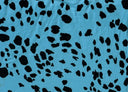 Brushed DTY Animal Print Knit Fabric Soft Stretch Material 58/60" Width