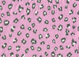 Animal Print Brushed DTY Knit Fabric