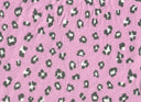 Animal Print Brushed DTY Knit Fabric