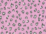 Animal Print Brushed DTY Knit Fabric