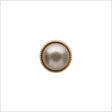 Italian Silver and Gold Shank Back Button - 16L/10mm