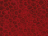 Serenade Upholstery Fabric Durable & Elegant