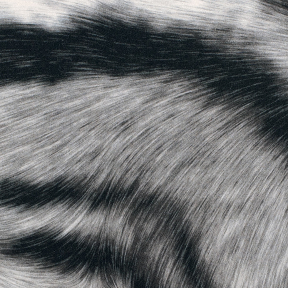 Black/White Zebra Printed Micro-Polyester and Cotton