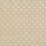 Saxon Stylish Upholstery Fabric