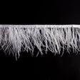 6" Single Ply White Ostrich Fringe
