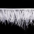 6" Single Ply White Ostrich Fringe
