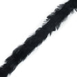 Black Hen Feather Trimming - 1"