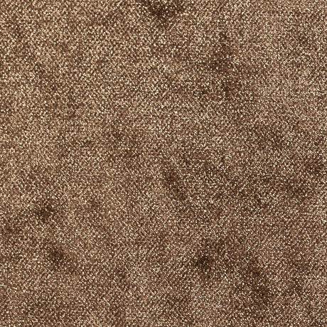 Short Pile Lichen Metallic Polyester Blended Velvet
