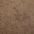 Short Pile Lichen Metallic Polyester Blended Velvet