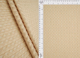 Stripe Lace Stretch Fabric