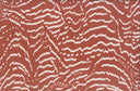 1 yarda de tela estampada animal cepillada DTY 170 GSM, poliéster y spandex, ancho 58/60''  