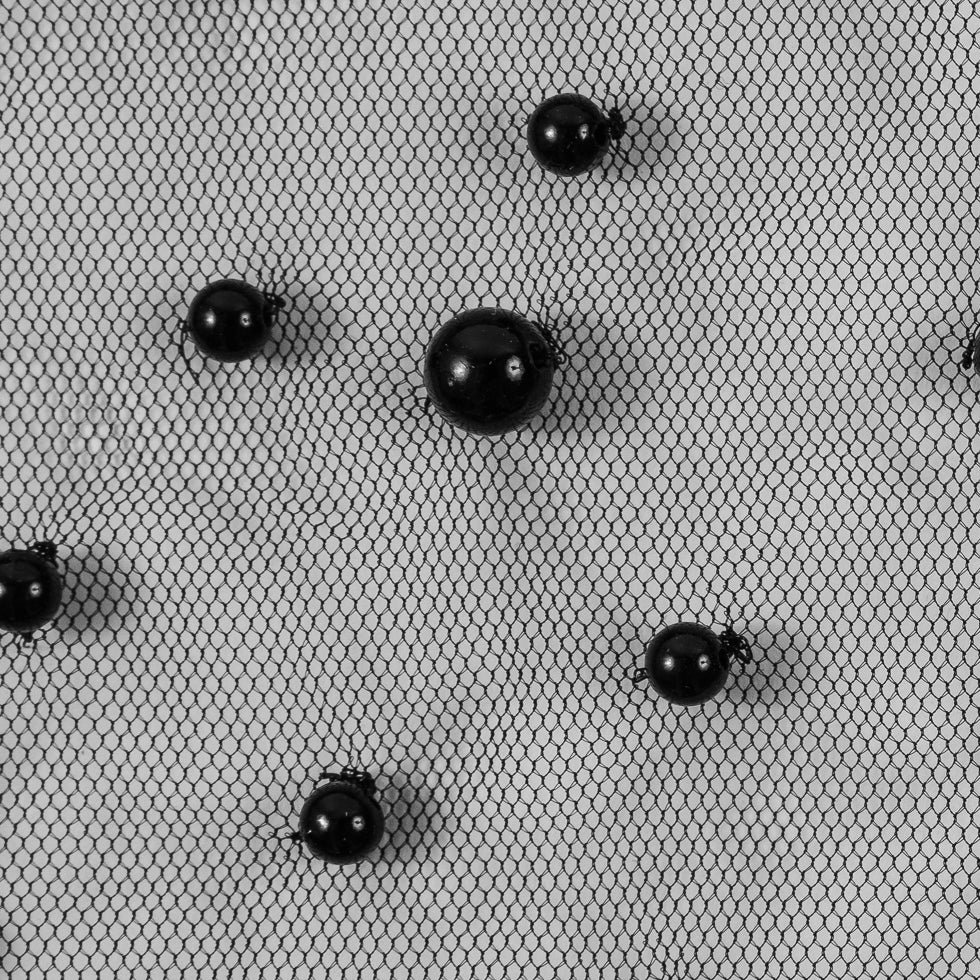 Mesh Lace with Pearl Beads - Black