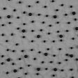 Mesh Lace with Pearl Beads - Black