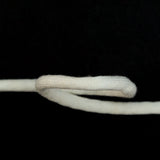 Italian White Wool Drawstring Trimming - 0.25"
