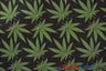 Marijuana Cannabis Leaf 100 Percent Cotton Fabric - Leaf Print, 60" Width (1 Yard)