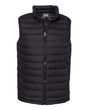 Columbia Men's Powder Lite II Vest
