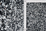 Velvet Sequin Stretch Fabric