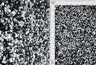 Velvet Sequin Stretch Fabric