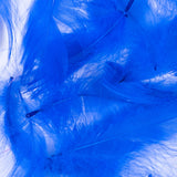 Blue 5 Gram Bag of Feathers