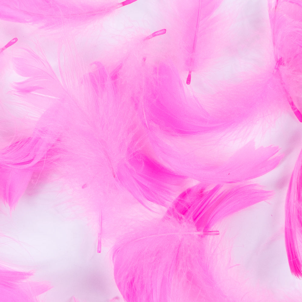 Pink 5 Gram Bag of Feathers
