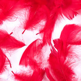 Red 5 Gram Bag of Feathers