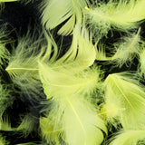 Yellow 5 Gram Bag of Feathers