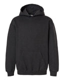 Youth Hooded Sweatshirt