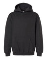 Youth Hooded Sweatshirt