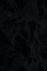 Floral Velvet Burnout Stretch Knit Fabric 55" Wide