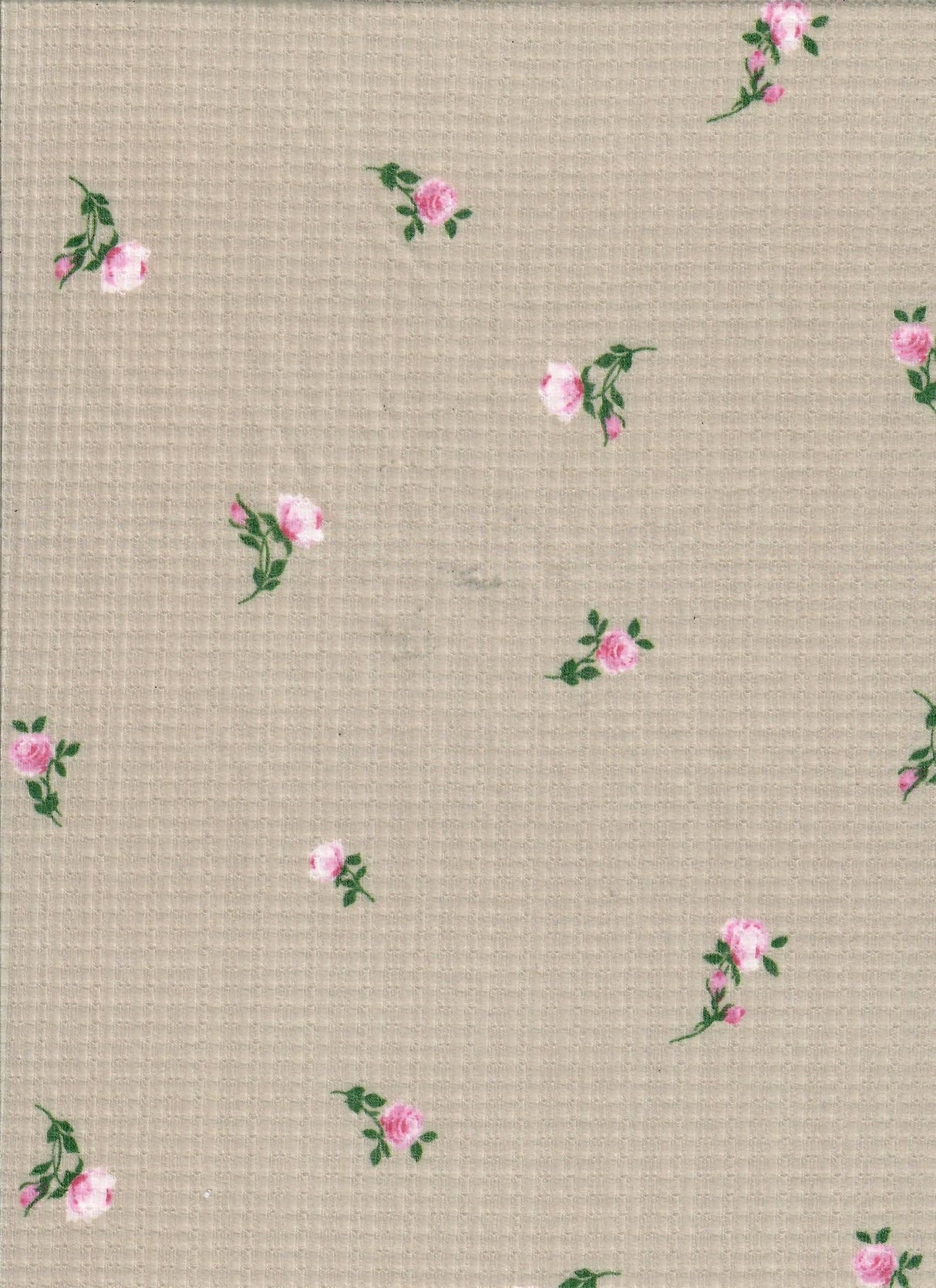 Pointelle Rib Knit Ditsy Daisy Floral
