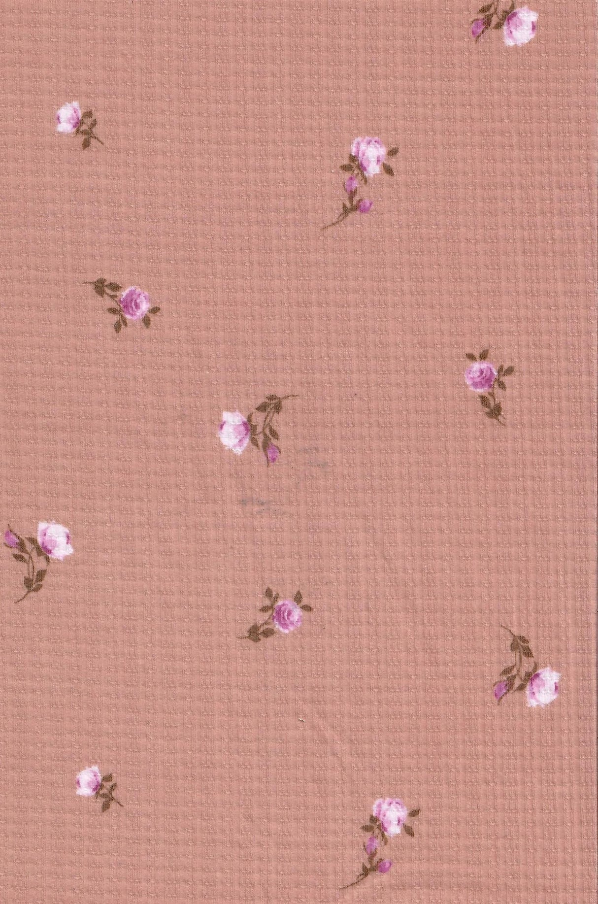 Pointelle Rib Knit Ditsy Daisy Floral