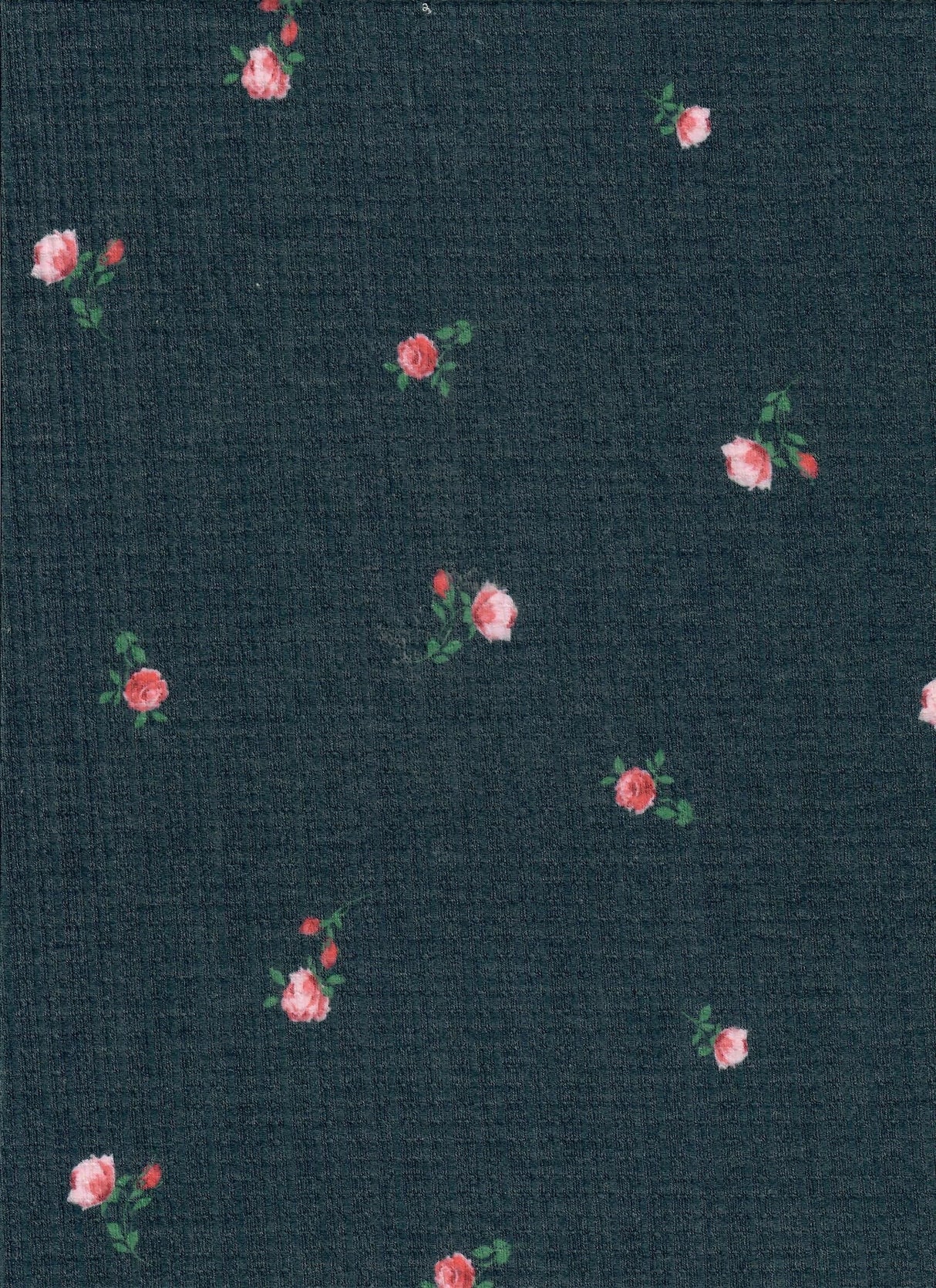 Pointelle Rib Knit Ditsy Daisy Floral