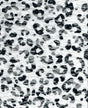Leopard Print Stretch Lace Fabric