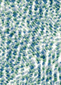 Abstract Print DTY Knit Fabric Blue