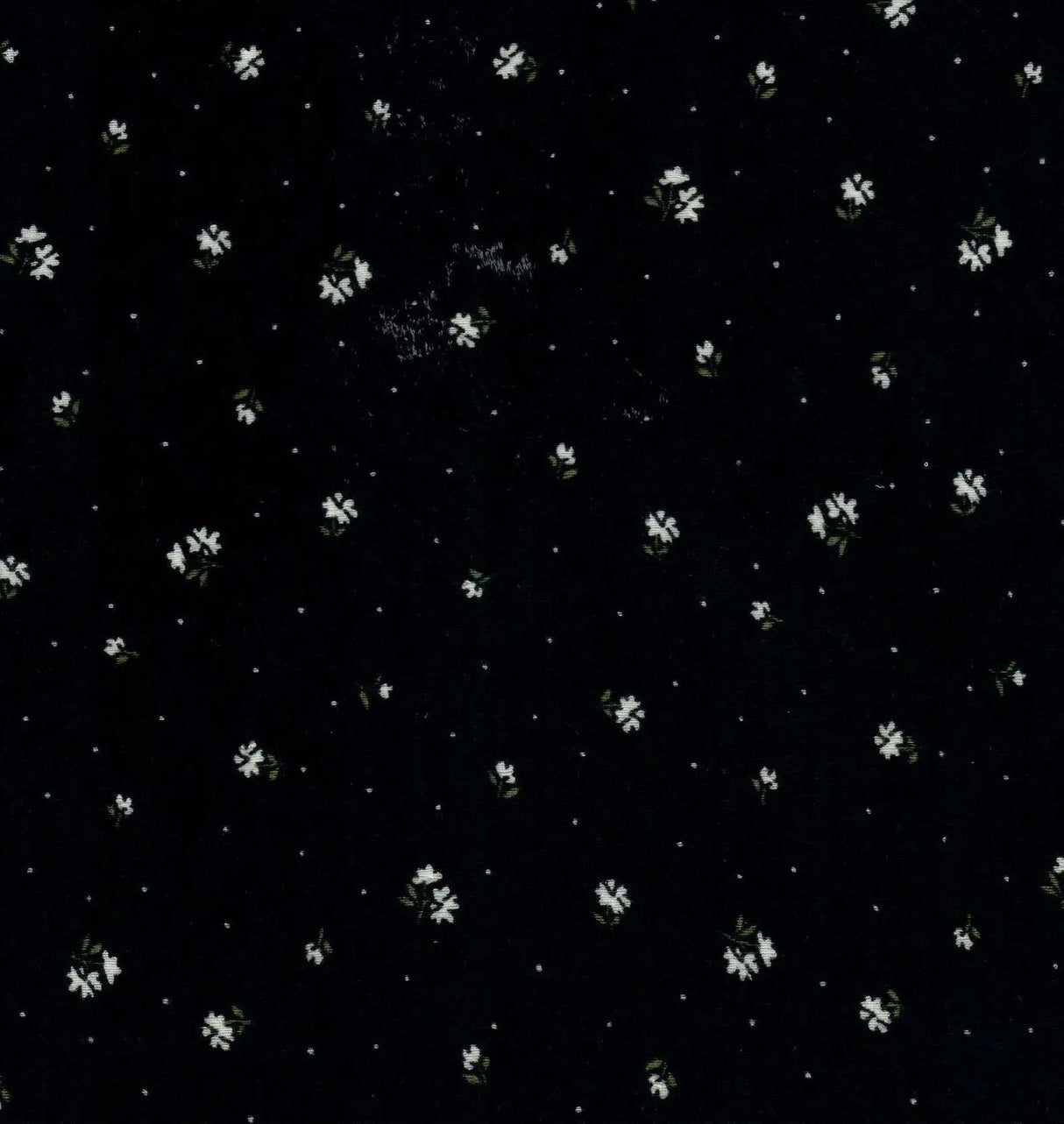 1 Yard Cotton-Style Ditsy Pointelle Print Knit Fabric, 61/63? Wide Polyester Spandex Blend