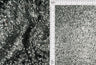 Sequin Embroidered Mesh Knit Fabric Silver