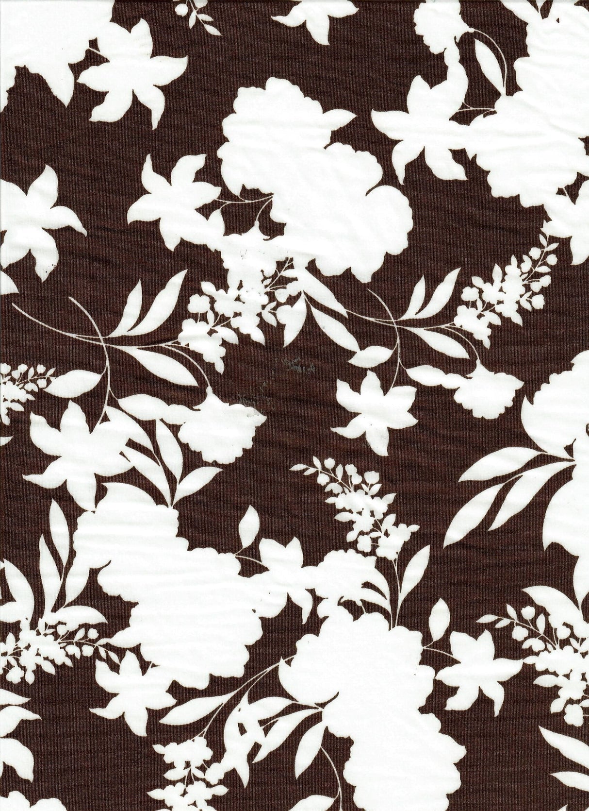 Floral DTY Knit Stretch Fabric