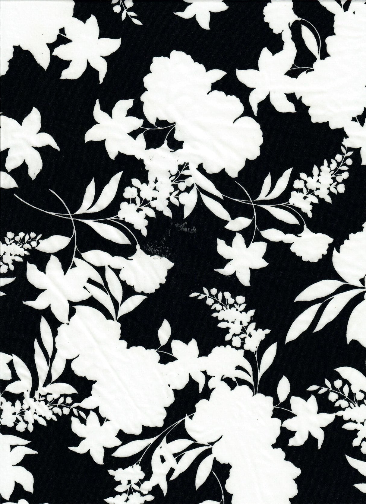 Floral DTY Knit Stretch Fabric