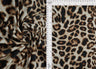 Animal Print Brushed DTY Knit Fabric