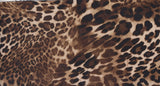 Animal Print Brushed Knit Fabric Brown