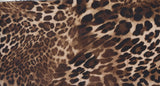 1 Yard DTY Brushed Animal Print Fabric Soft Polyester Spandex Blend 58/60 Inch Width