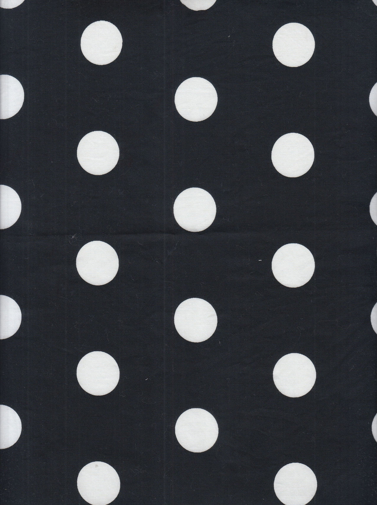 Big Dot Stretch Poplin Fabric