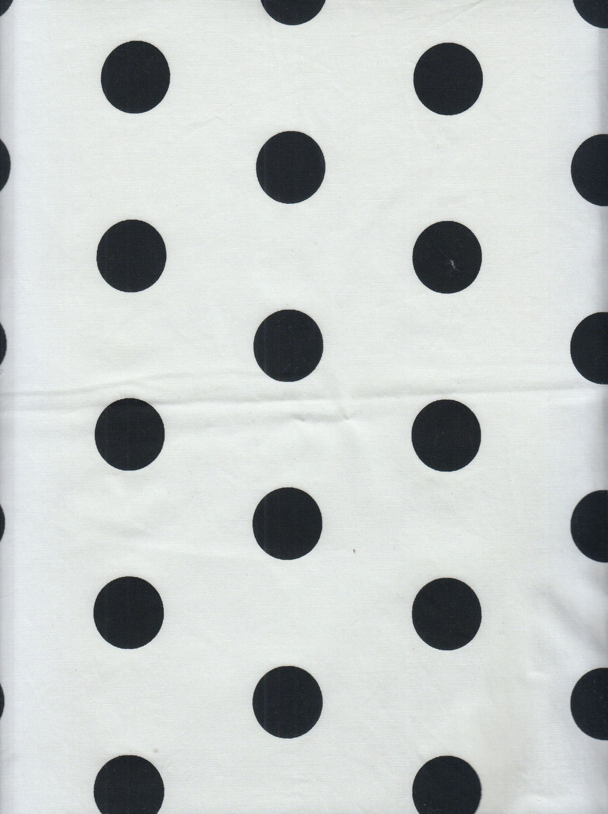 Big Dot Stretch Poplin Fabric