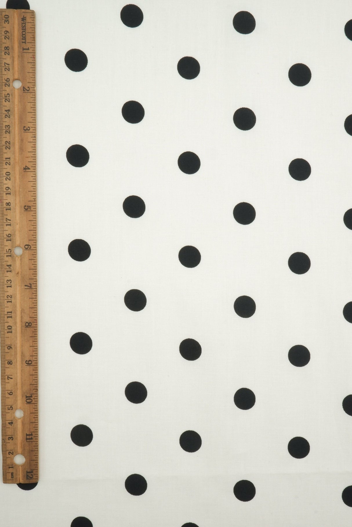 Small Dot Stretch Poplin