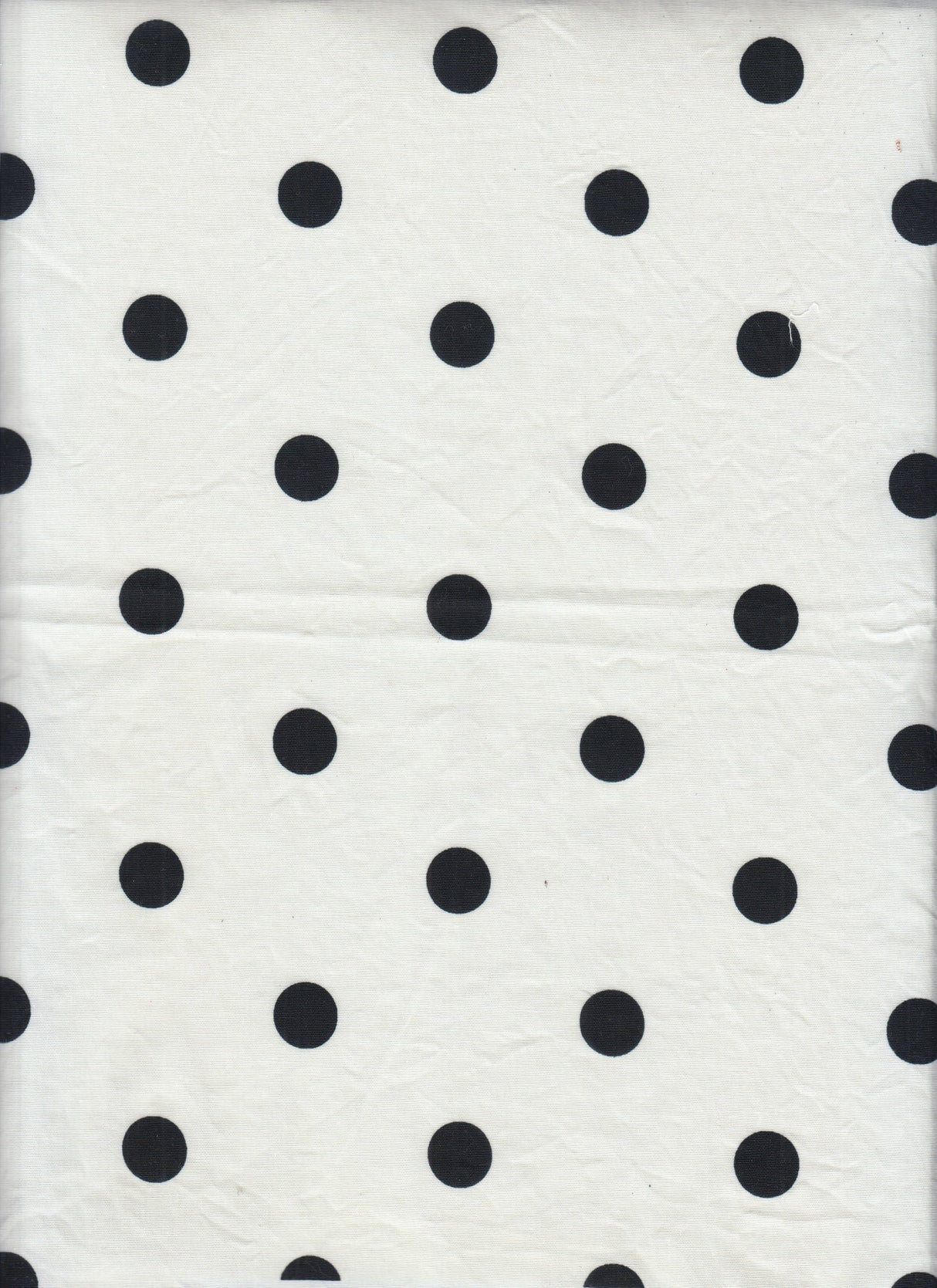 Small Dot Stretch Poplin