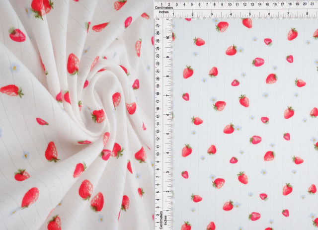 Strawberry Print Pointelle Knit Fabric
