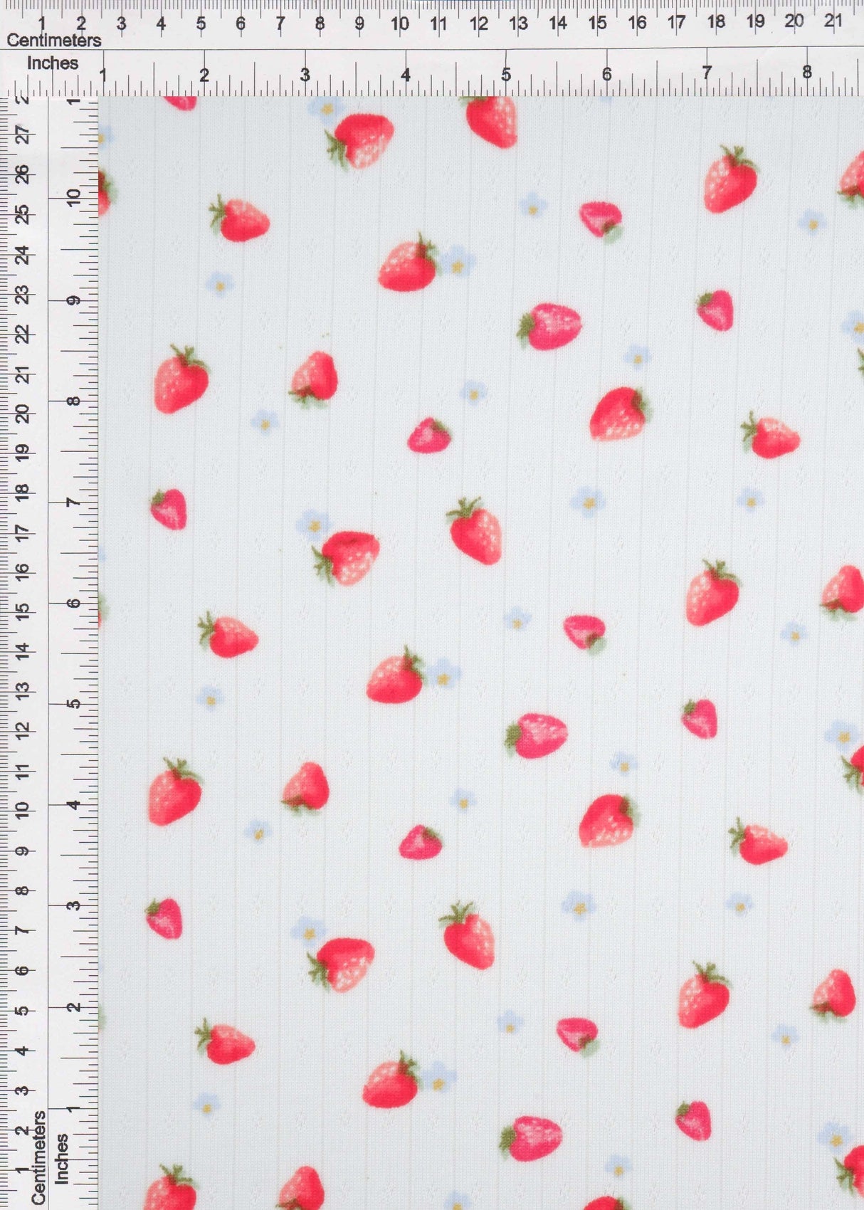 Strawberry Print Pointelle Knit Fabric