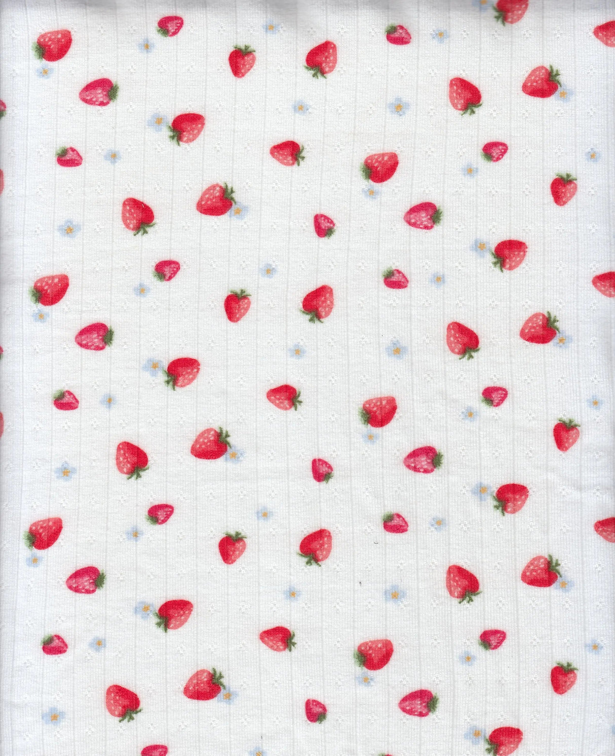 1 Yard 93% Polyester 7% Spandex Cotton-Style Pointelle Strawberry Print Fabric 58/60" Width